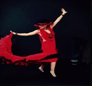 Flamenco_Dancers1 (3)