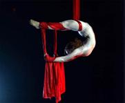 aerialists1 (2)