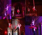 aerialists1